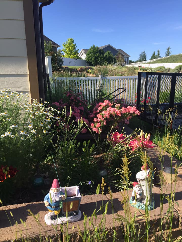 Backyard garden